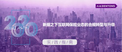 新規之下互聯網保險業態的合規轉型與升級丨大成 實踐指南 技術開發